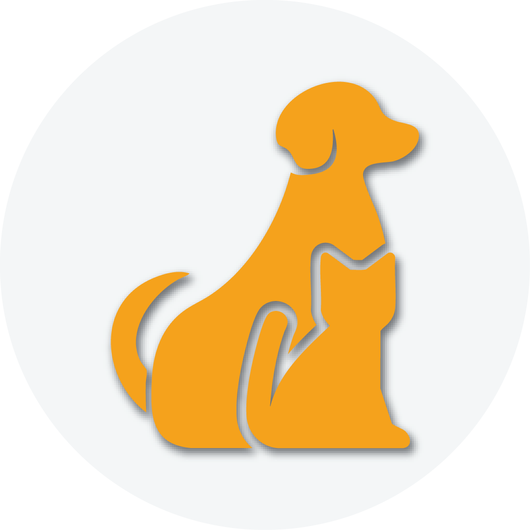 Pojištění zvířat